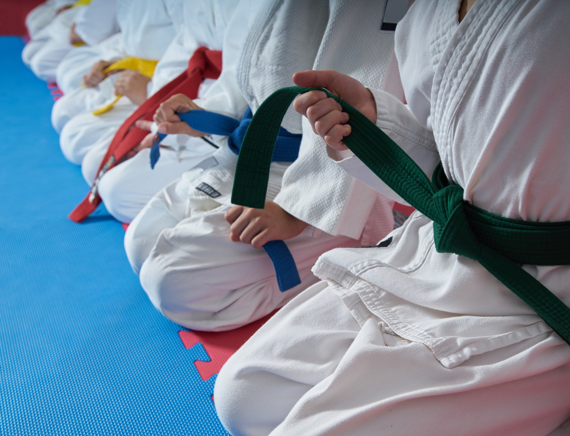 aikido belt system