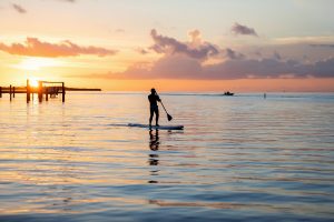 best paddle boards for beginners