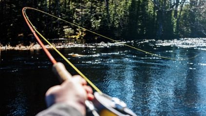 fishing for beginners uk